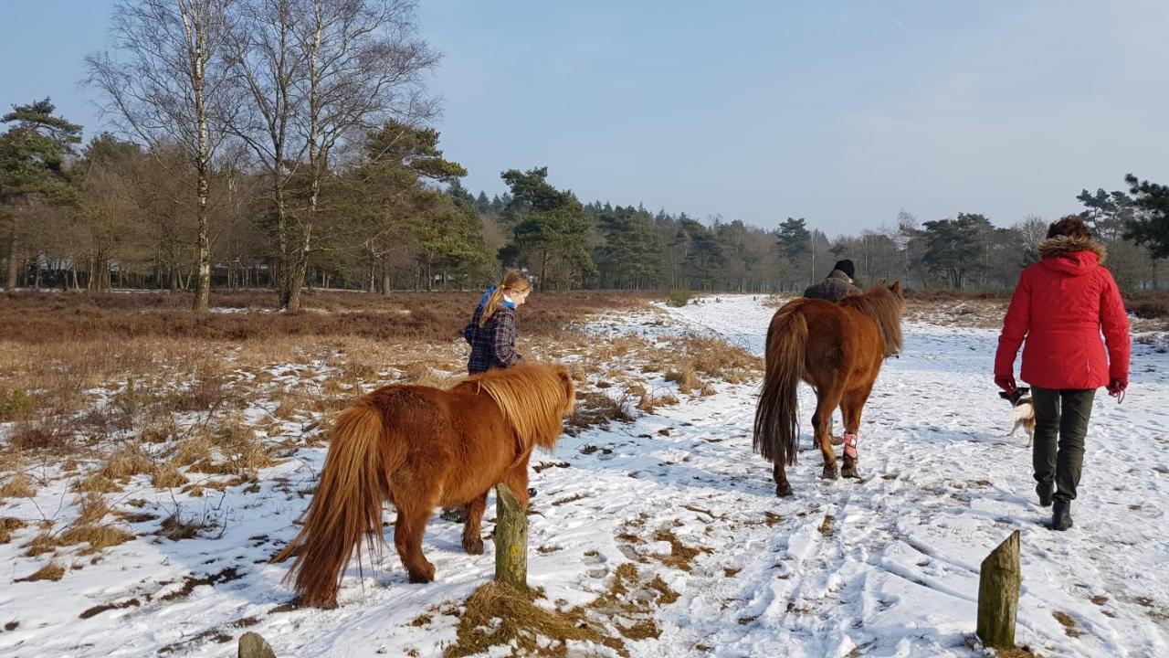 Chalet Op De Veluwe # Eiken Putten Exteriér fotografie