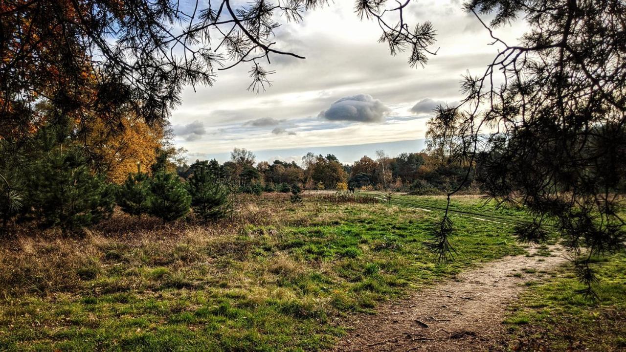 Chalet Op De Veluwe # Eiken Putten Exteriér fotografie