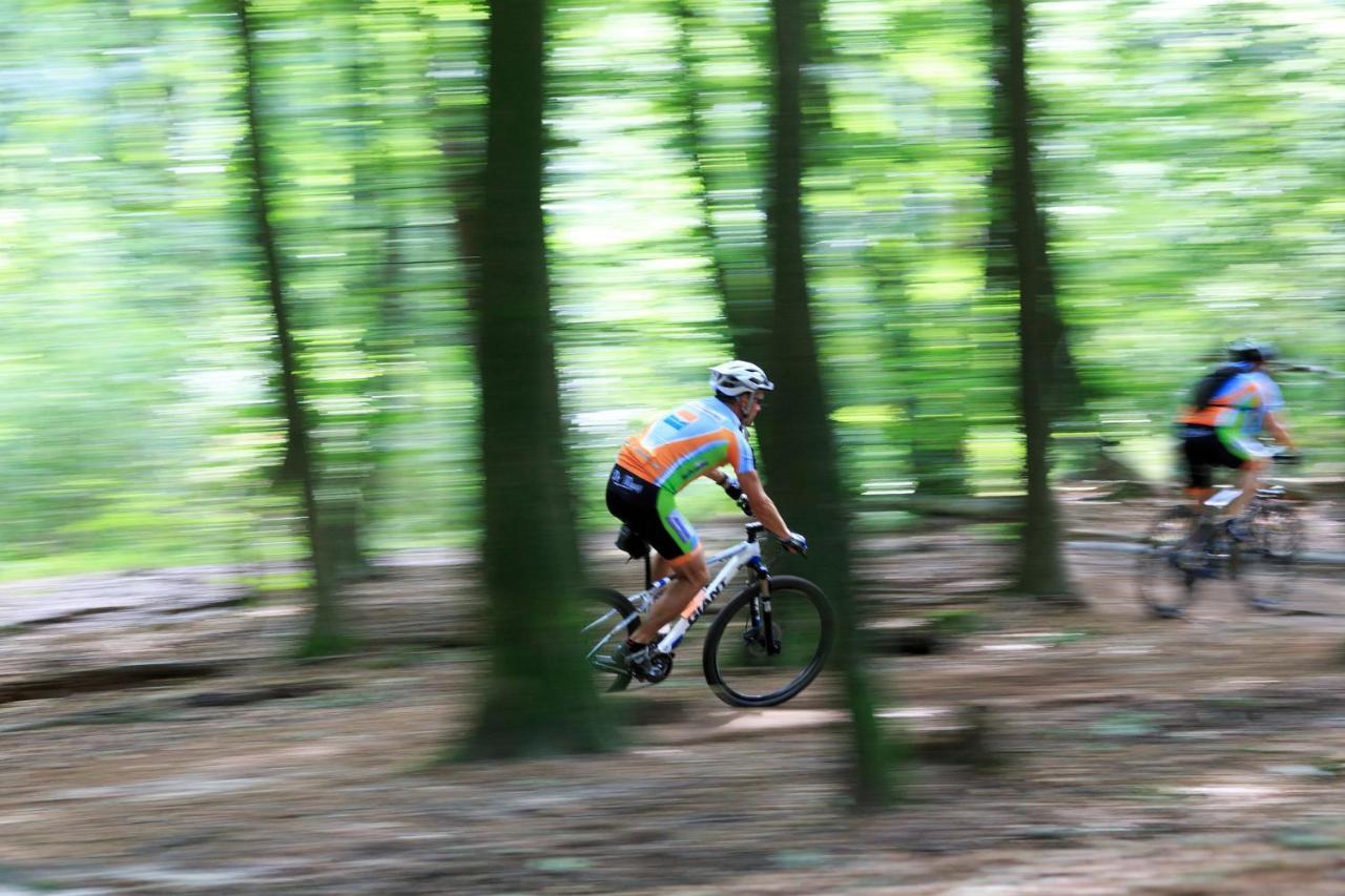 Chalet Op De Veluwe # Eiken Putten Exteriér fotografie